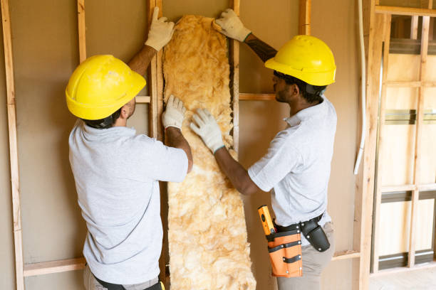Best Garage Insulation Installation  in Newell, WV