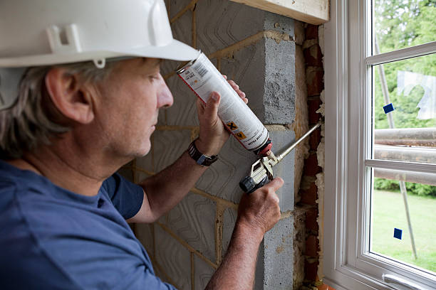 Best Insulation Removal  in Newell, WV