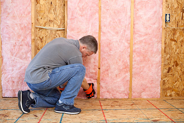 Best Insulation Removal  in Newell, WV