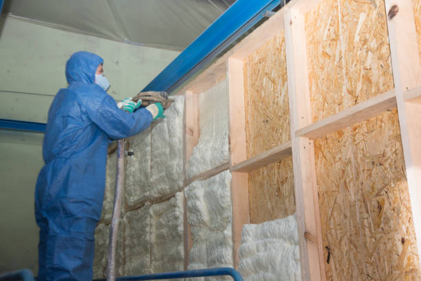 Best Insulation Inspection Services  in Newell, WV